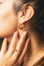 Load image into Gallery viewer, Shedding Hoops