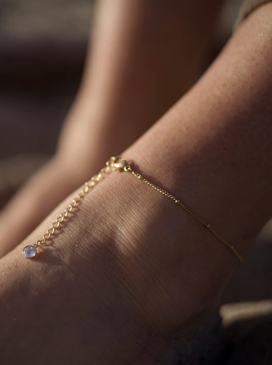 Summertime Dainty Anklet